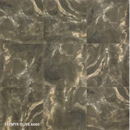 Gạch lát sàn Trường Thịnh ITALIAN ELEGANCE TAYMYR OLIVE